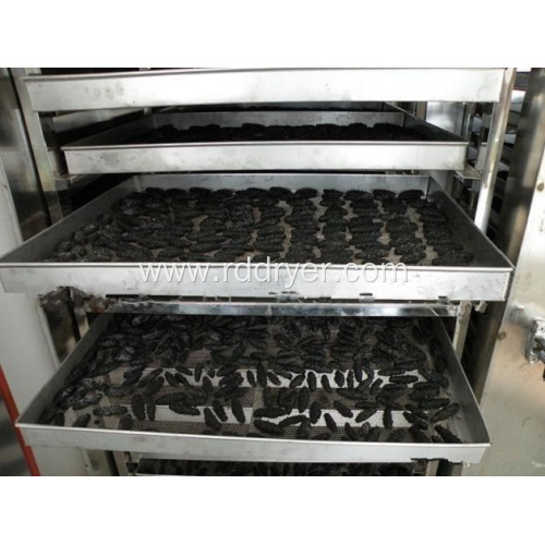 CT-C Series Automatic Fruit Drying Machine